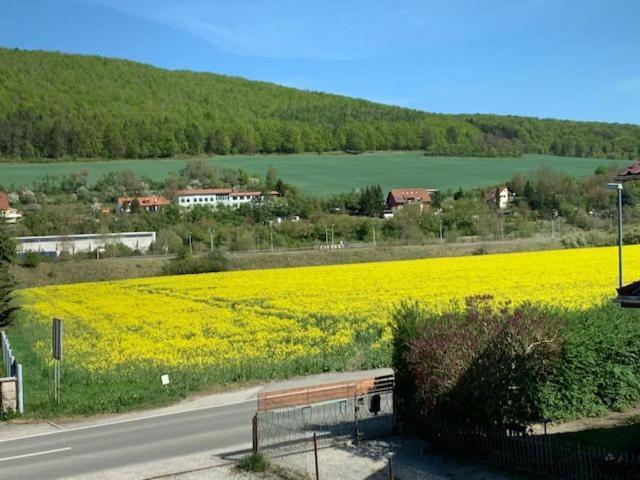 Ferienwohnung Werratal Obermassfeld-Grimmenthal Екстер'єр фото